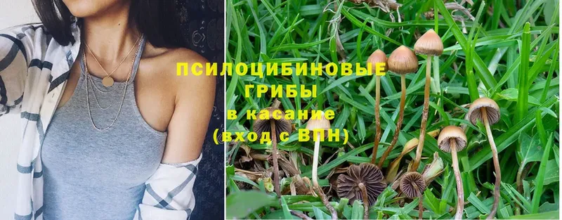 ссылка на мегу ссылки  Пыталово  Псилоцибиновые грибы Magic Shrooms 